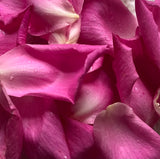 WILD  Rose Skincare Trio