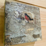 The Zone - Art  amplified with 1967 Ornithology  book to remind us of the power and symbology of birds. 
